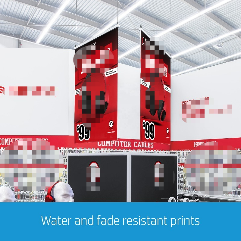 Large Capacity Digital Large P - Photo Printer 评论和价格